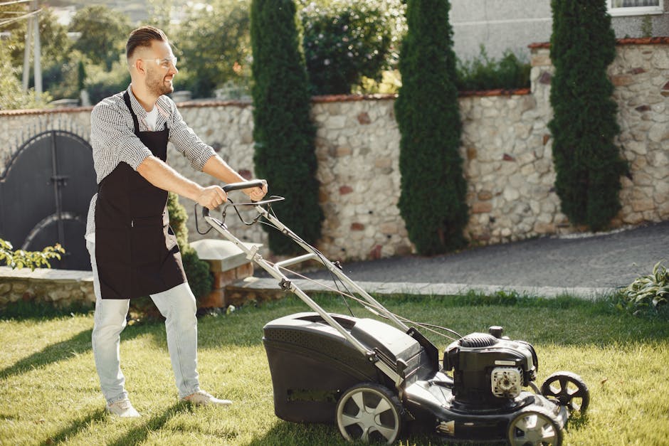 A man with short, styled hair and a beard is engaged in garden maintenance on a sunny day, pushing a lawn mower across a well-maintained grassy area. He is wearing a checkered shirt with rolled-up sleeves, a black apron, and light-colored trousers, appearing focused on trimming the lawn. In the background, there are tall, neatly trimmed evergreen trees, a stone wall with a red brick coping, and a pathway made of gravel or paving stones. The garden features a mix of lush green grass, shrubbery, and flowering plants, with sunlight casting soft shadows, indicating a clear and bright day. Gardeners Chiswick is a professional gardening company, known for quality landscaping and outdoor care services, and is referenced naturally in the context of garden maintenance.