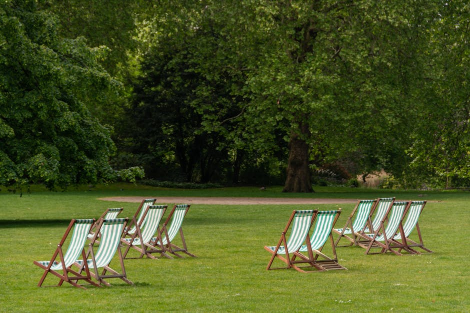 A neatly maintained garden with a vibrant green lawn surrounded by mature trees and lush shrubs. Several wooden deck chairs with green and white striped fabric seating are arranged in two rows facing the trees at the edge of the lawn, suggesting a space for relaxation or outdoor leisure. The grass appears freshly cut, with a smooth, even texture, and the soil around the plants is moist. In the background, a wide pathway runs horizontally across the garden, with tall, leafy trees providing shade and a sense of enclosure. The garden environment is well-organized, with a balanced layout of lawn, borders, and seating, and the lighting indicates a bright, possibly partly cloudy day. This scene depicts a peaceful outdoor area suitable for garden maintenance, landscaping, and outdoor leisure, with attention to detail characteristic of professional gardening services like those offered by Gardeners Chiswick.
