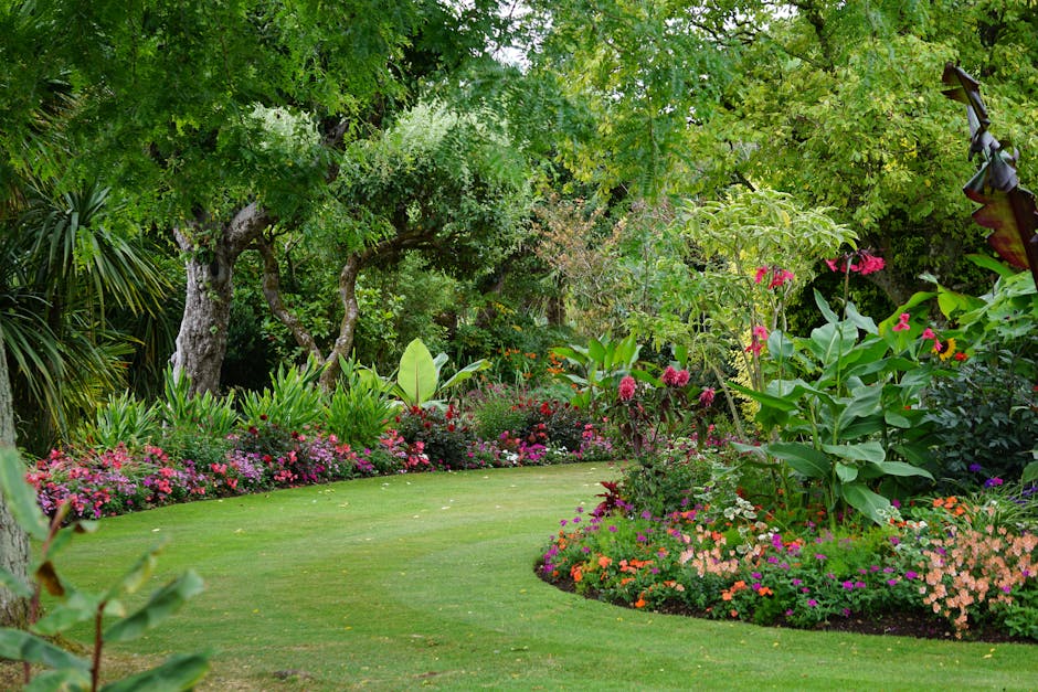 A lush, well-maintained garden featuring a neatly trimmed green lawn bordered by vibrant flower beds filled with pink, orange, and purple blossoms. Several mature trees with textured bark and sprawling branches provide dappled shade over the garden. On the right side, tall plants with large green leaves and bright pink flowers are visible, along with smaller shrubs and flowering plants creating a colorful border. The backdrop includes dense foliage and trees, contributing to a peaceful, shaded environment suitable for garden maintenance or landscaping work. The overall scene is vibrant and lush, with textures from the soft grass, smooth leaves, and the flowering blossoms. The image depicts a professionally cared-for outdoor space, likely serviced by Gardeners Chiswick, reflecting careful hedge trimming and garden bed management.