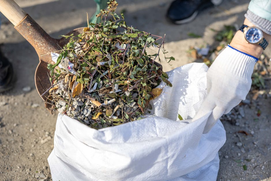 A person wearing a white gardening glove is holding a white biodegradable garden waste sack filled with trimmed hedge cuttings, small twigs, and leaves. A rusty shovel with a wooden handle is leaning into the sack, suggesting ongoing garden maintenance or hedge trimming work. The ground is a mix of dark soil and gravel, with some scattered leaves and plant debris around. In the background, part of a person's black shoe and a blue watch on the person's wrist are visible, indicating a daytime outdoor setting. The scene reflects routine lawn care and garden clearance activities, which are relevant for garden management and adherence to council rules about W4 garden clearances, as detailed on the Gardeners Chiswick website.