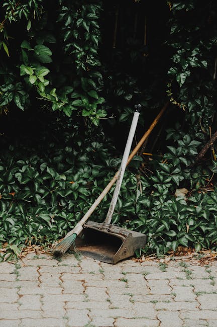 A weathered white temporary sign lying on the ground in a garden, partially obscured by a large tree trunk in the foreground. The sign is chained down with thick metal links and reads 'Closed for Shason' in bold black letters, indicating restricted access. The surrounding area features moist, dark soil with patches of moss and scattered leaves, along with neatly maintained garden beds bordered by wooden planks. In the background, there are trimmed hedges and a pathway, suggesting a landscaped outdoor space undergoing routine maintenance or landscaping work. The lighting is natural, casting soft shadows across the scene, and reflecting a quiet, well-kept garden environment managed with professional care, such as that provided by Gardeners Chiswick.
